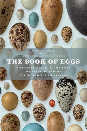 Couverture du livre « Book of eggs a life-size guide to the eggs of six hundred of the world's bird species » de Hauber aux éditions Ivy Press