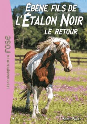 Couverture du livre « L'étalon noir Tome 23 : Ebène, fils de l'étalon noir Tome 3 ; le retour » de Walter Farley et Steven Farley aux éditions Hachette Jeunesse