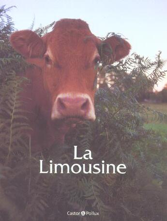 Couverture du livre « La limousine » de Chatain G aux éditions Castor Et Pollux