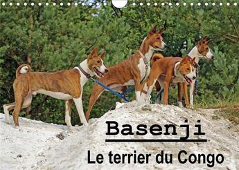 Couverture du livre « Basenji le terrier du congo calendrier mural 2020 din a4 horizontal - le basenji est une race de chi » de Wobst Petra aux éditions Calvendo