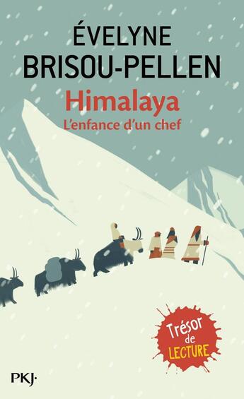 Couverture du livre « Himalaya ; l'enfance d'un chef » de Evelyne Brisou-Pellen aux éditions Pocket Jeunesse