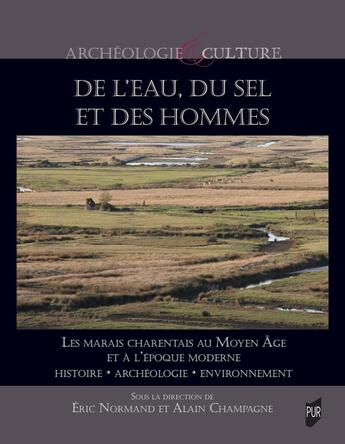 Couverture du livre « De l'eau, du sel et des hommes : Le marais charentais au Moyen Âge et à l'époque moderne : Histoire, archéologie, environnement » de Alain Champagne et Eric Normand et Collectif aux éditions Pu De Rennes