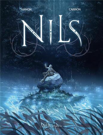 Couverture du livre « Nils : coffret Intégrale Tomes 1 à 3 » de Antoine Carrion et Jerome Hamon aux éditions Soleil