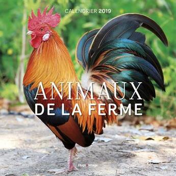 Couverture du livre « Calendrier mural animaux de la ferme (édition 2019) » de  aux éditions Hugo Image
