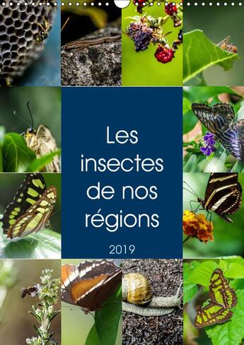 Couverture du livre « Les insectes de nos regions calendrier mural 2019 din a3 vertical - aimez vous les insectes ceci e » de Bronner Thomas aux éditions Calvendo