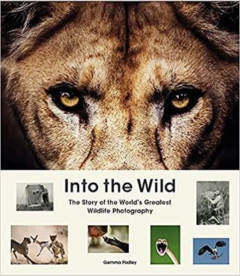 Couverture du livre « Into the wild » de Gemma Padley aux éditions Laurence King