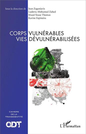 Couverture du livre « Corps vulnérables vies dévulnérabilisées » de Karine Espineira et Maud-Yeuse Thomas et Jean Zaganiaris et Ludovic Lotfi Mohamed Zahed aux éditions L'harmattan