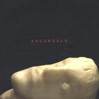 Couverture du livre « Arcangelo II monografia - opere 1983-2007 » de Monografia-Opere aux éditions Damiani