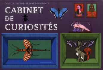 Couverture du livre « Cabinet de curiosités » de Jeanne Detallante et Camille Gautier aux éditions Actes Sud Junior