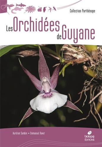 Couverture du livre « Les orchidées de Guyane » de Aurelien Sambin aux éditions Biotope
