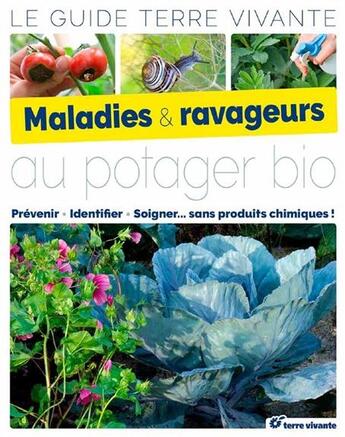 Couverture du livre « Maladies & ravageurs au potager bio ; prévenir, identifier, soigner... sans produits chimiques ! » de  aux éditions Terre Vivante