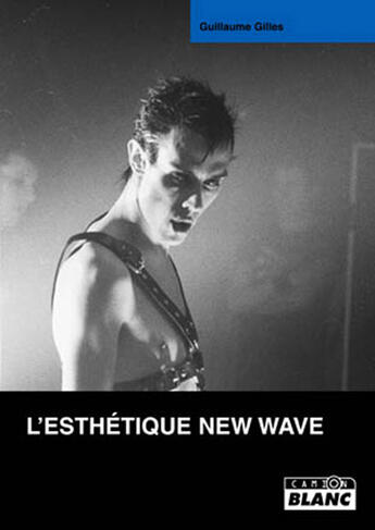 Couverture du livre « L'esthétique new wave » de Guillaume Gilles aux éditions Le Camion Blanc