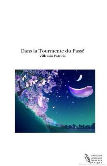 Couverture du livre « Dans la tourmente du passé » de Patricia Villemin aux éditions Villemin