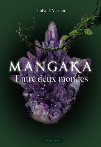 Couverture du livre « Mangaka Tome 2 : Entre deux mondes » de Thibault Vermot aux éditions Casterman