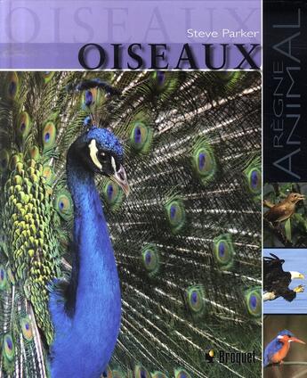 Couverture du livre « Oiseaux » de Steve Parker aux éditions Broquet