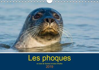 Couverture du livre « Les phoques en baie de somme et baie d authie calendrier mural 2019 din a4 horiz - les phoques stars » de Bouilland Steph aux éditions Calvendo