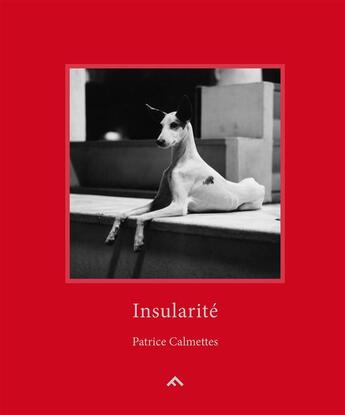 Couverture du livre « Insularité » de Patrice Calmettes aux éditions Filigranes