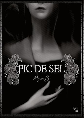 Couverture du livre « Pic de sel » de Marion B aux éditions Books On Demand