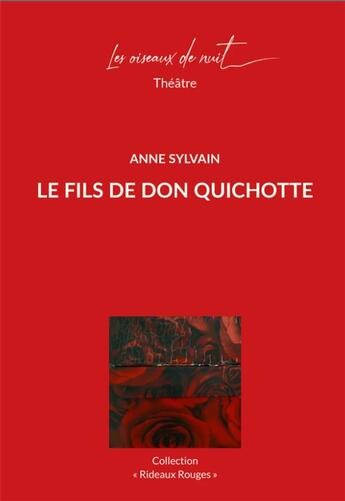 Couverture du livre « Le fils de Don Quichotte » de Anne Sylvain aux éditions Les Oiseaux De Nuit