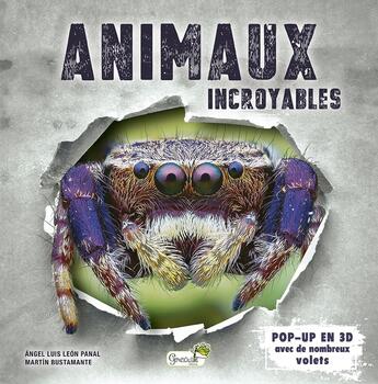 Couverture du livre « Animaux incroyables » de Angel Luis Leon Panal et Martin Bustamante aux éditions Grenouille