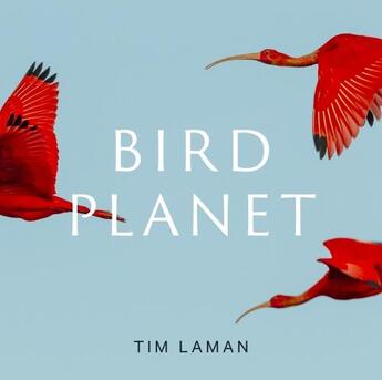 Couverture du livre « Bird planet : a photographic journey » de Tim Laman aux éditions Abrams