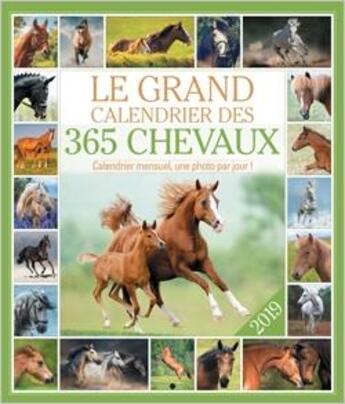 Couverture du livre « Le grand calendrier des 365 chevaux 2019 » de  aux éditions Editions 365