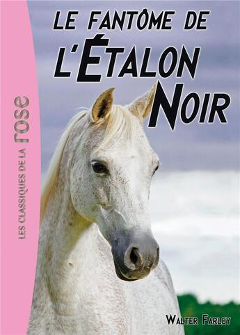 Couverture du livre « L'étalon noir t.16 ; le fantôme de l'étalon noir » de Walter Farley et Steven Farley aux éditions Hachette Jeunesse