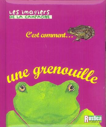 Couverture du livre « Une grenouille » de Safia Amor aux éditions Rustica