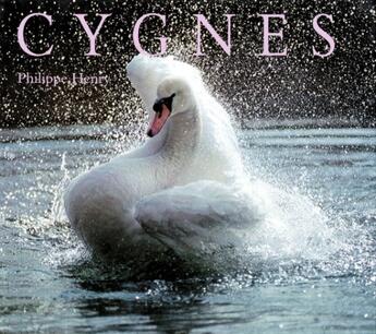 Couverture du livre « Cygnes » de Philippe Henry aux éditions Ecole Des Loisirs