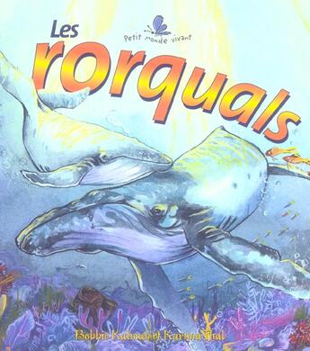 Couverture du livre « Les rorquals » de Bobbie Kalman aux éditions Bayard Canada