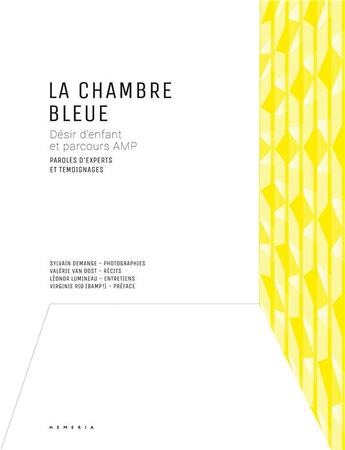 Couverture du livre « La chambre bleue - desir d enfant et parcours amp. paroles d experts et temoignages. » de Demange/Lumineau aux éditions Hemeria France