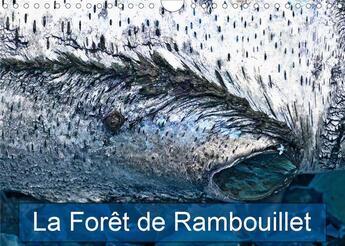 Couverture du livre « La forêt de Rambouillet (Calendrier mural 2020 DIN A4 horizontal) ; La forêt francilienne de Rambouillet (Calendrier mensuel, 14 Pages ) » de  aux éditions Calvendo