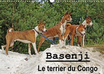 Couverture du livre « Basenji le terrier du congo calendrier mural 2020 din a3 horizontal - le basenji est une race de chi » de Wobst Petra aux éditions Calvendo