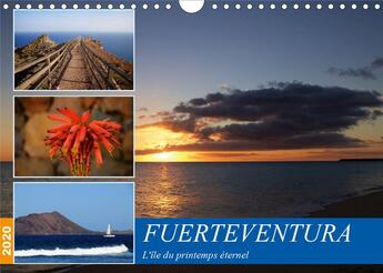 Couverture du livre « Fuerteventura l le du printemps eternel calendrier mural 2020 din a4 horizontal - decouvrez l le du » de Www.Card Pho aux éditions Calvendo