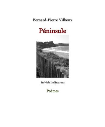 Couverture du livre « Peninsule » de Vilboux/Lucile aux éditions L'enfance Des Arbres