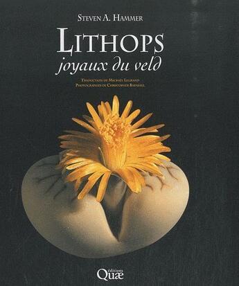 Couverture du livre « Lithops, joyaux du veld » de  aux éditions Quae