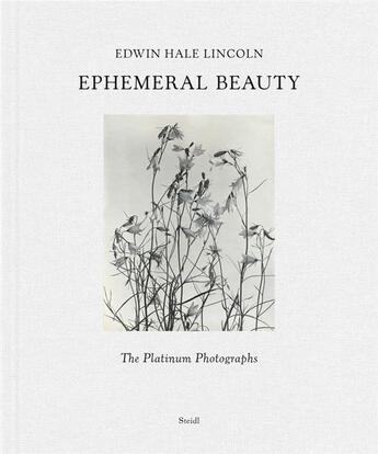 Couverture du livre « Edwin Hale Lincoln : ephemeral beauty » de Bill Becker aux éditions Steidl