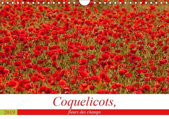 Couverture du livre « Coquelicots fleurs des champs calendrier mural 2019 din a4 horizontal - des coquelicots toute l anne » de Bouilland Steph aux éditions Calvendo