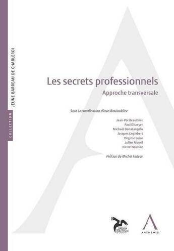 Couverture du livre « Les secrets professionnels ; approche transversale » de Ivan Bouioukliev aux éditions Anthemis