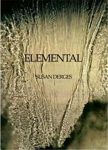 Couverture du livre « Susan derges elemental » de Barnes Martin aux éditions Steidl