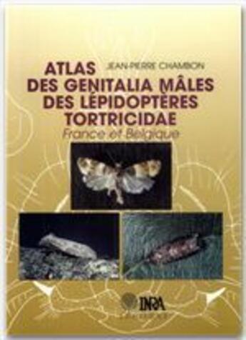 Couverture du livre « Atlas des genitalia mâles des lépidoptères tortricidae » de Chambon aux éditions Quae