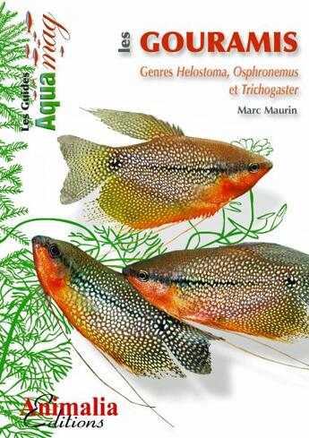 Couverture du livre « Les gouramis » de Marc Maurin aux éditions Animalia