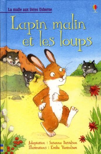 Couverture du livre « Lapin malin et les loups » de Susanna Davidson aux éditions Usborne