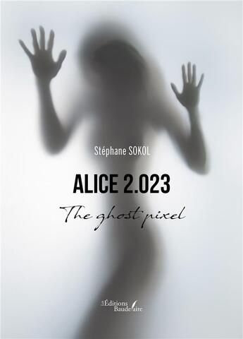 Couverture du livre « Alice O » de Sokol Stephane aux éditions Baudelaire