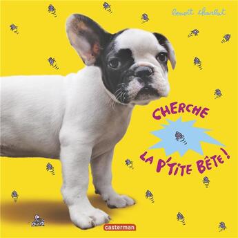 Couverture du livre « Cherche la petite bête » de Benoit Charlat aux éditions Casterman