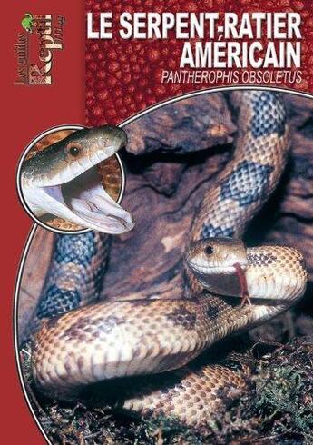 Couverture du livre « Les serpents-ratiers à queue lignée : orthriophis taeniurus, elaphe taeniura » de Andreas Gumprecht aux éditions Animalia