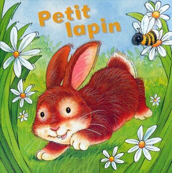 Couverture du livre « Petit lapin » de Daniel Howarth aux éditions Succes Du Livre