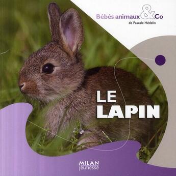 Couverture du livre « Le lapin » de Pascale Hédelin aux éditions Milan