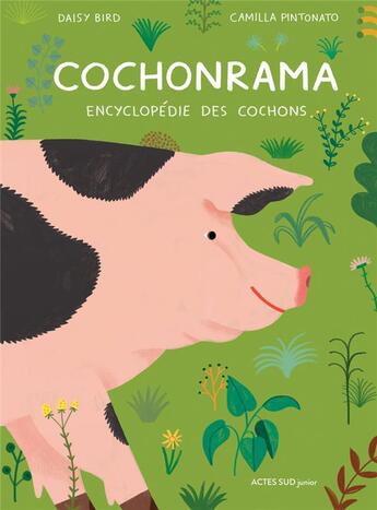 Couverture du livre « Cochonrama : encyclopédie des cochons » de Camilla Pintonato et Daisy Bird aux éditions Actes Sud Junior