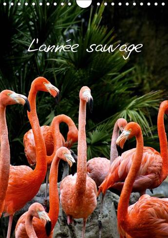 Couverture du livre « Quand la faune sauvage s invit » de Astre Laura aux éditions Calvendo